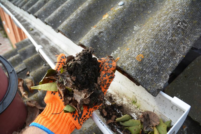 Clogged Gutter Blockage