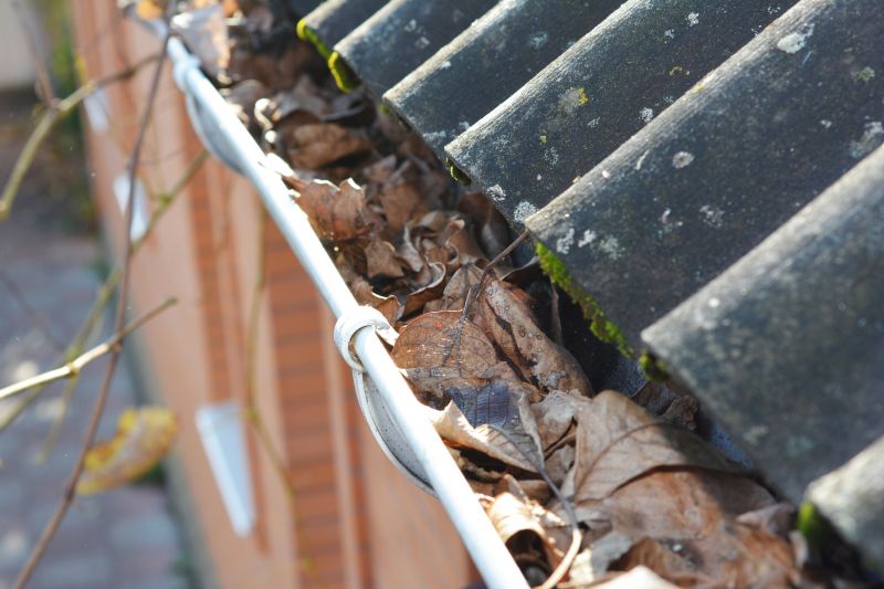 Clogged Gutter Damage